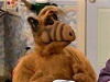 alf1986
